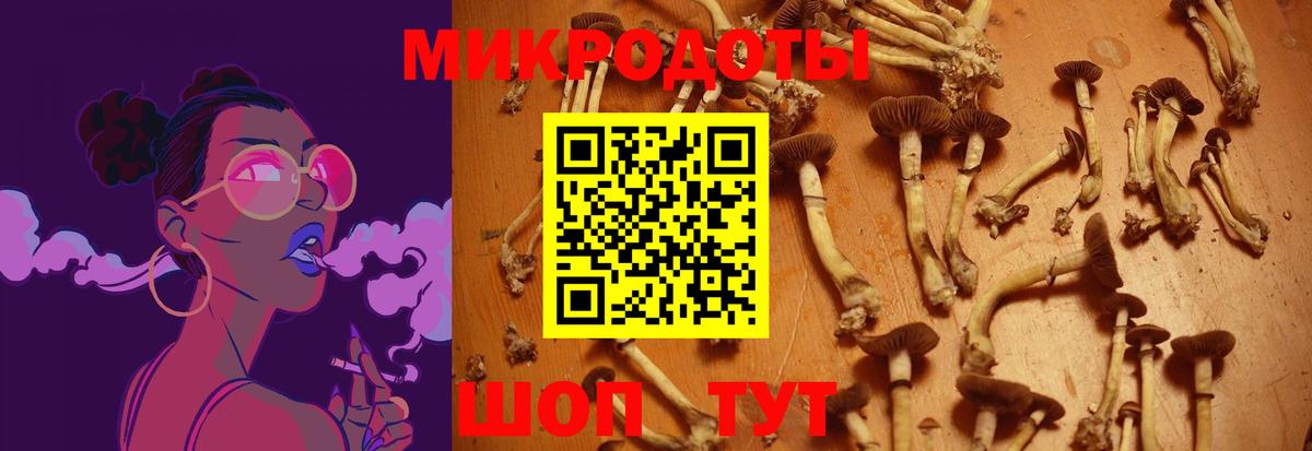 Галлюциногенные грибы MAGIC MUSHROOMS Хасавюрт