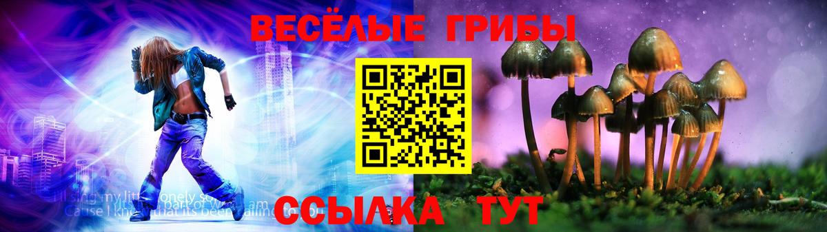 Хасавюрт  Галлюциногенные грибы Psilocybe  Вход с VPN 